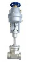 Cryogenic Emergency Cut Off Valve
