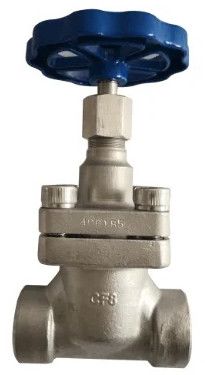 Cryogenic Short Stem Globe Valve
