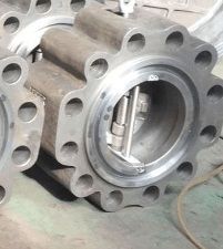 Dual Plate Lug Check Valve