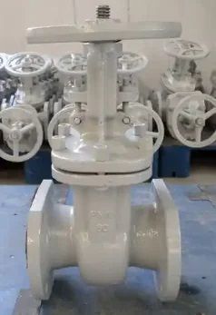 Duplex Gate Valve