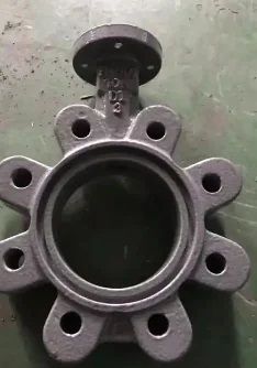 Duplex Lug Butterfly Valve
