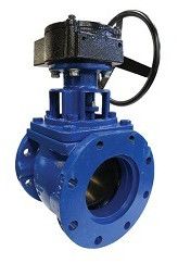 Eccentric Plug Valve