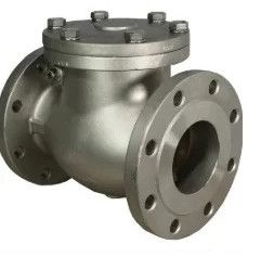 F347 Swing Check Valve