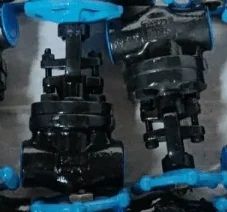 A105 Forged Steel Gate Valve