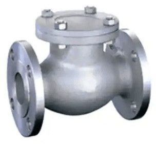 Hastelloy C276/B3 Swing Check Valve