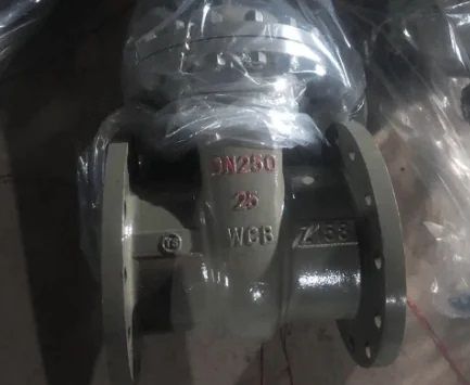 Nrs Carbon Steel Gate Valve