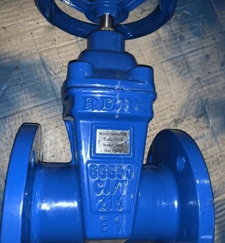 Nrs Ductile Iron Gate Valve