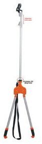 Tree Pruning Shears
