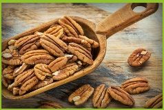 Pecan Nuts, Packaging Type : Plastic Packets