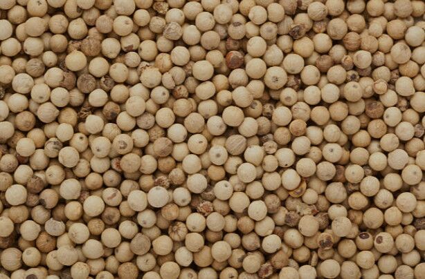 White Pepper Double Washed