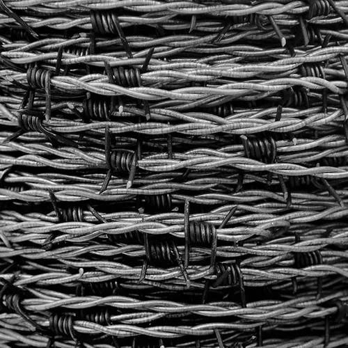 Barbed Wire