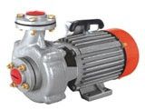Single Phase Monoblock Pumps, Voltage : 220-240V