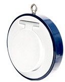 Lined Swing Check Valve