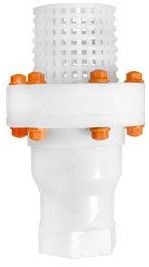 Foot Valves Screw End