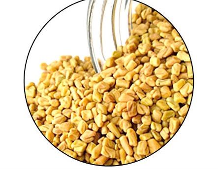 Fenugreek  Seed
