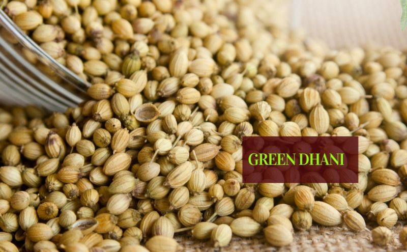 Whole Coriander Seeds