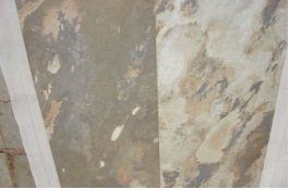 Autumn Rustic Slate Stone