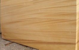 Teak Wood Sandstone