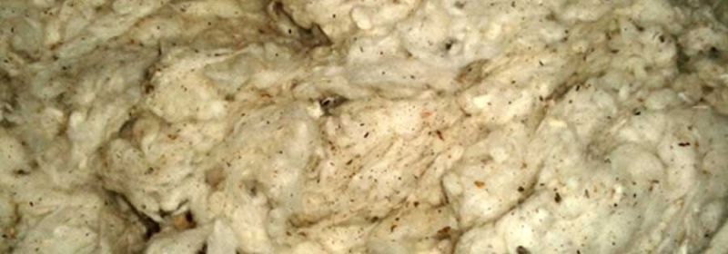 Dropping Cotton Waste