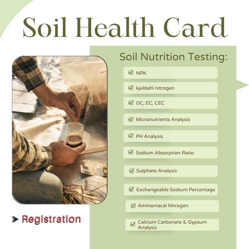 Soil Nutrition Testing Kit, Packaging Type : Catron for Consultancy