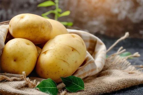 Brown Organic Fresh Potato