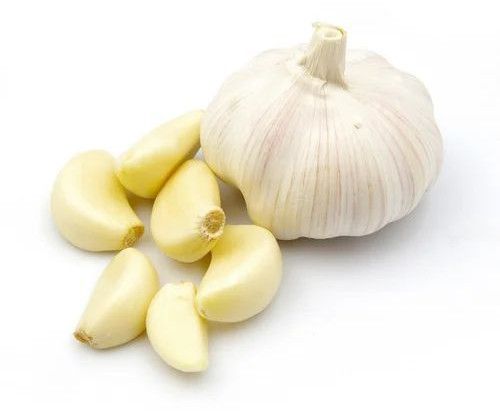 Fresh Garlic Bulb