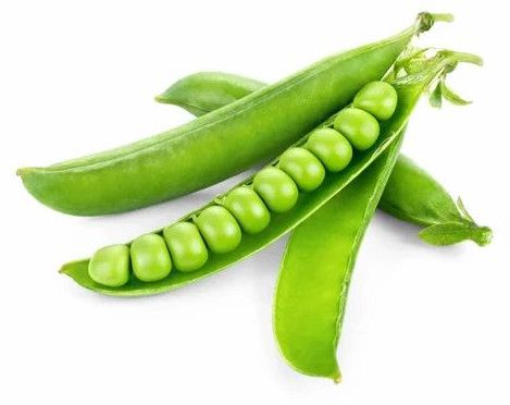 Fresh Green Peas