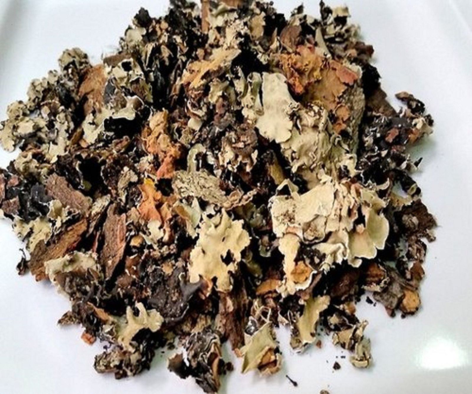 Stone Flower Dagad Phool