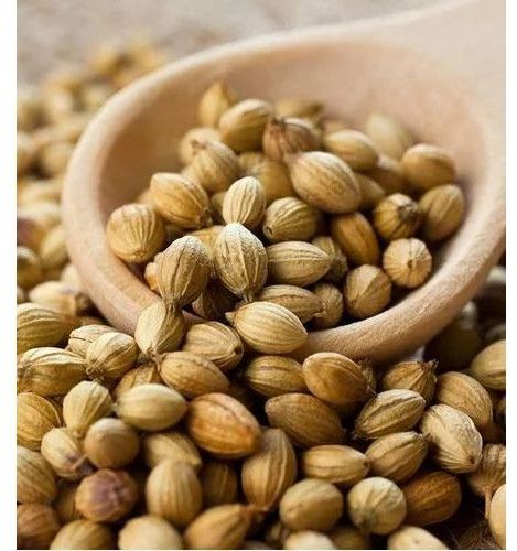 Whole Coriander Seeds