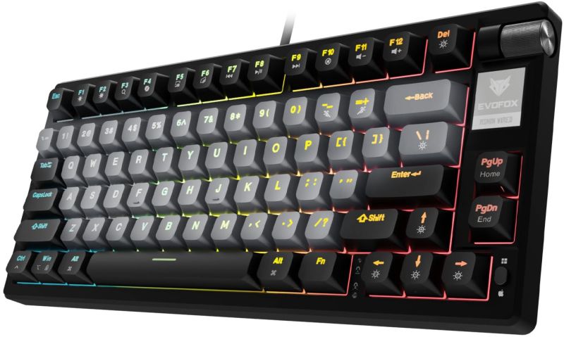 Evofox Ronin Tkl RGB Mechanical Wired USB Tenkeyless Gaming Keyboard