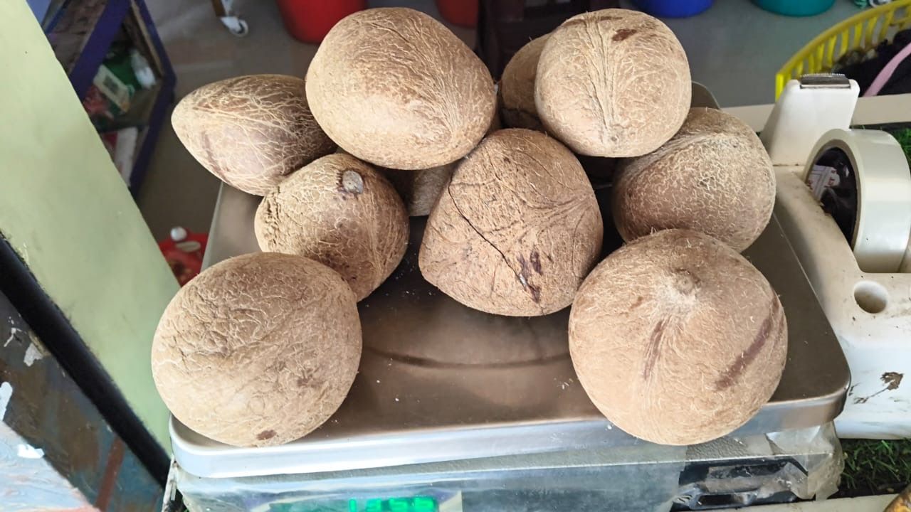 Dried Copra Coconut