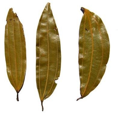 Bay Leaf Whole