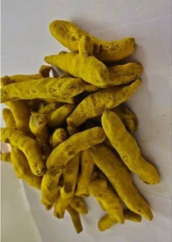 Organic Dry Turmeric Finger