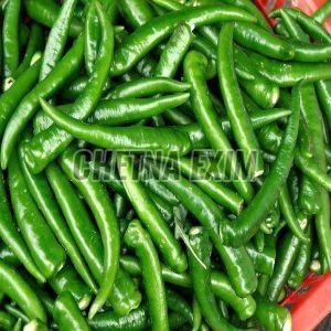 Fresh Green Chilli