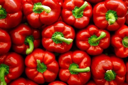 Fresh Red Bell Pepper