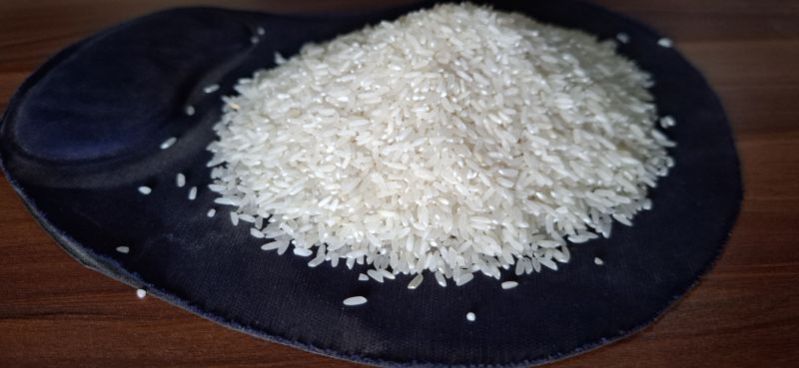 White Samba Rice