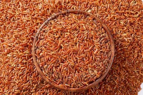 India Red Cargo Rice