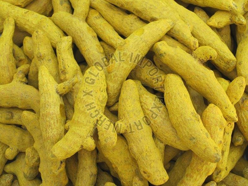 Rajapuri Turmeric Finger