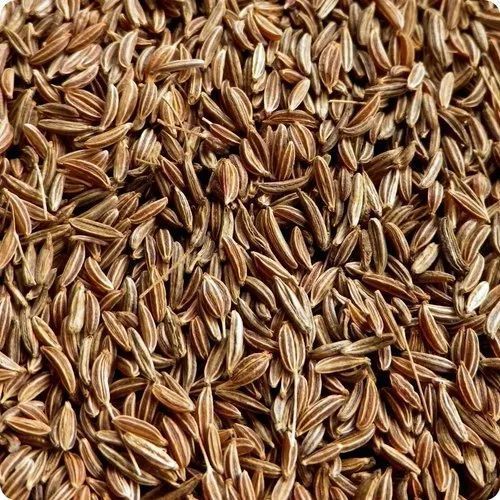 Caraway Seeds