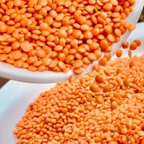 Whole Red Lentil