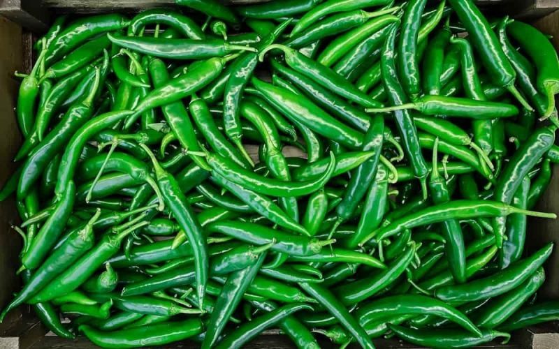 Fresh Green Chilli