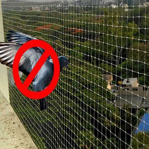 Pigeon Safety Net