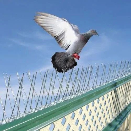 Polycarbonate Bird Spikes