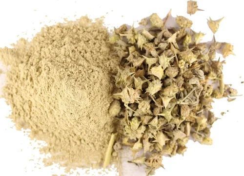 Gokhru Powder