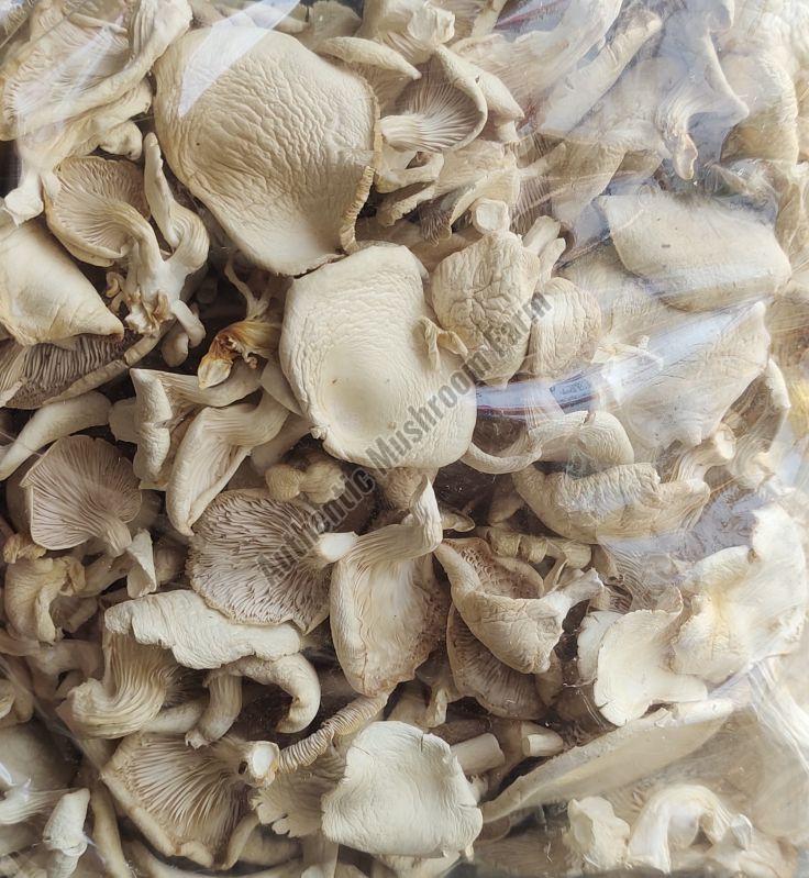 Dried Oyster Mushroom