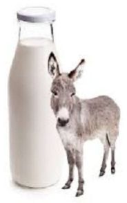 Fresh Donkey Milk