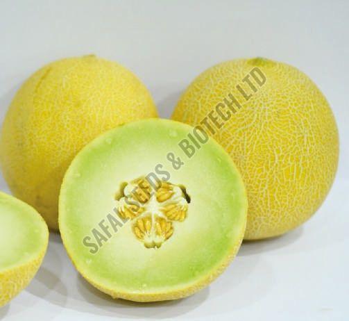 F1-Safal Diamond Muskmelon Seeds