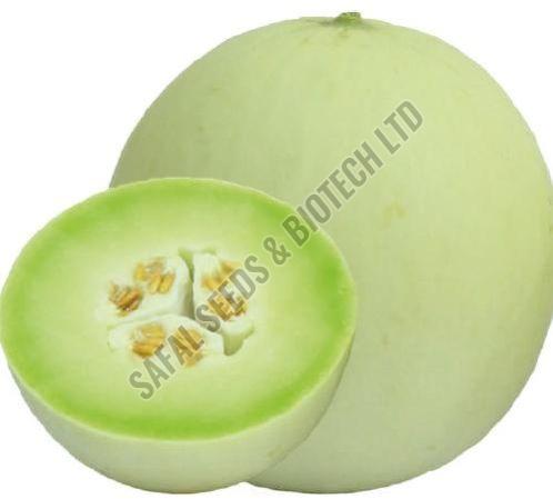 F1 SSB 121 Muskmelon Seeds