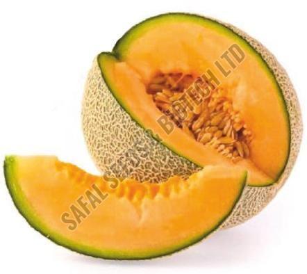 F1-SSB 61 Muskmelon Seeds