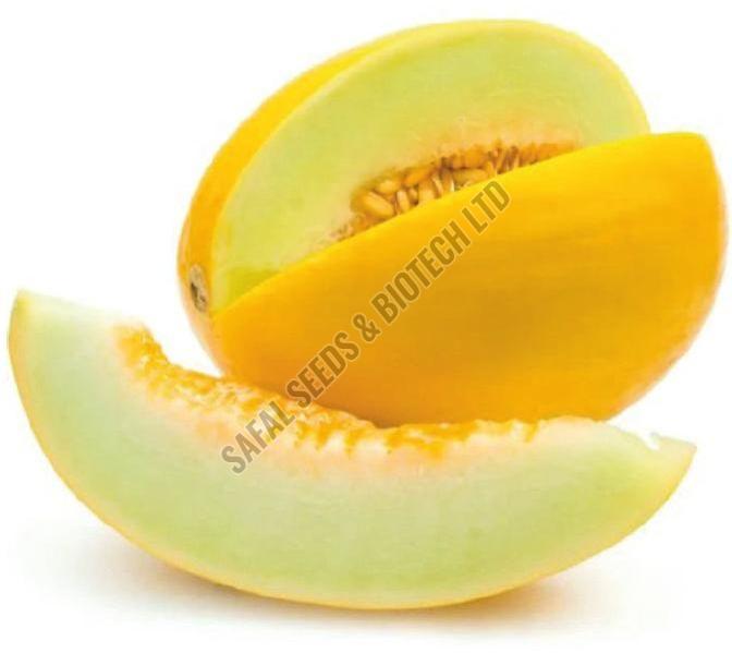 F1-Yellow Sapphire Muskmelon Seeds